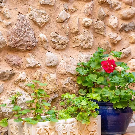 Casa Romana Holiday home *